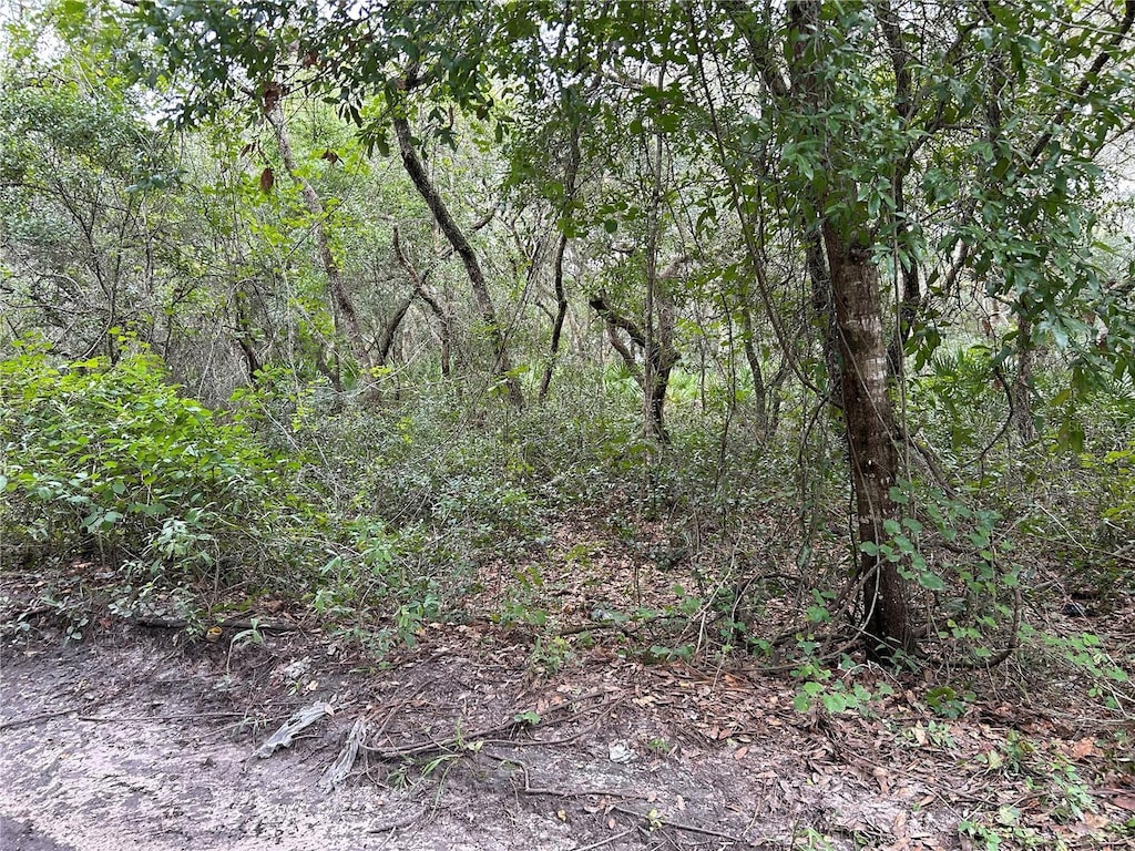 SW 152nd Pl, Dunnellon, FL 34433