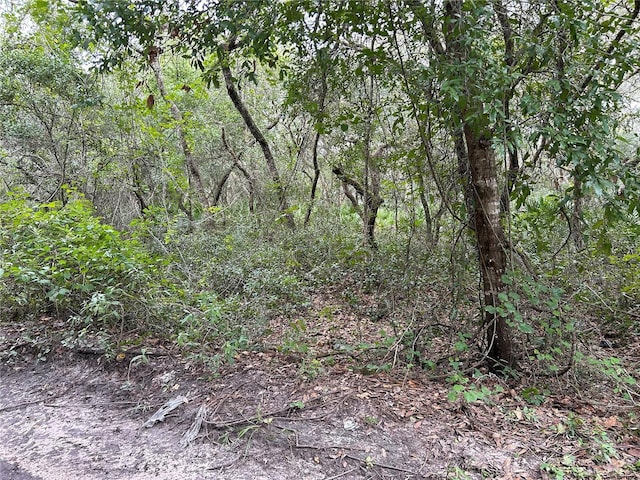 SW 152nd Pl, Dunnellon, FL 34433