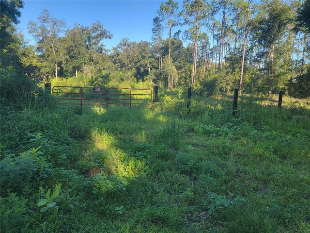 Listing photo 2 for SW Westwater Dr, Dunnellon FL 34431