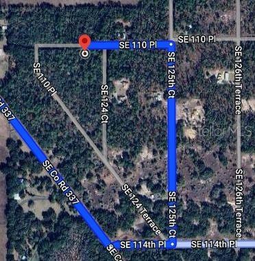 SE 110th Pl, Dunnellon, FL 34431 - photo 2