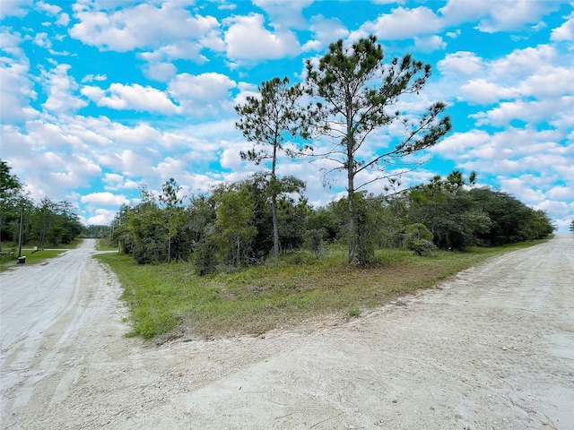 14250 SE 2nd St, Williston FL, 32696 land for sale