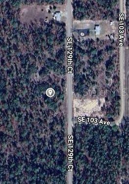 SE 129th Ct, Dunnellon, FL 34431 - photo 2