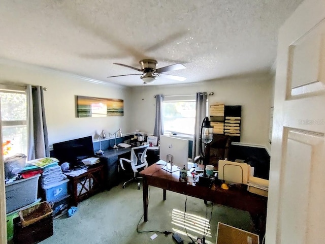 carpeted office space with a textured ceiling and ceiling fan