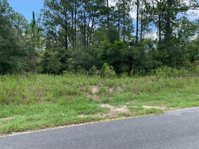 0 SW Sailboat Dr, Dunnellon FL, 34431 land for sale