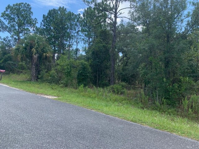 0 NW Amberjack Ave, Dunnellon FL, 34431 land for sale