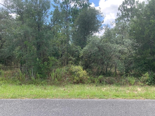 Listing photo 3 for 0 NW Amberjack Ave, Dunnellon FL 34431