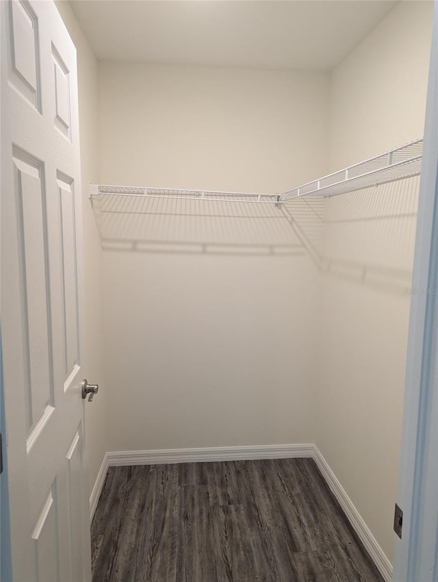 spacious closet featuring hardwood / wood-style flooring