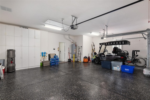 garage featuring a garage door opener and gas water heater