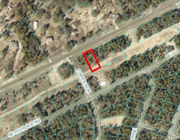 TBD SE 113th St, Ocklawaha FL, 32179 land for sale