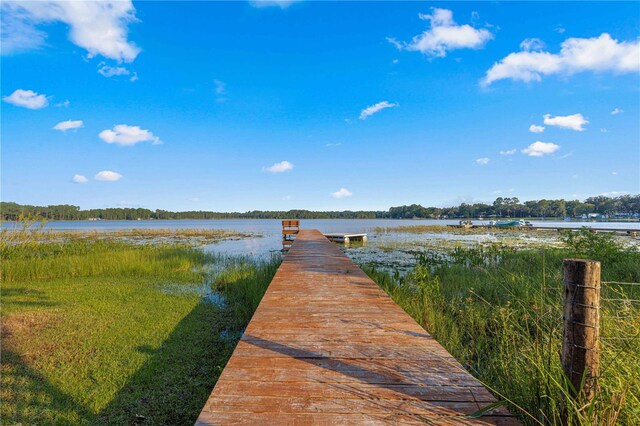 dock area with a water view