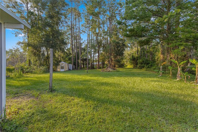 view of yard featuring a storage shed