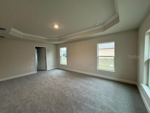 carpeted spare room featuring a tray ceiling and crown molding