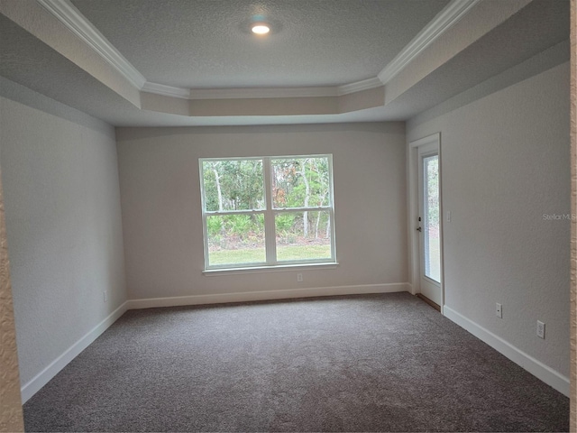 spare room with crown molding, a wealth of natural light, and a tray ceiling