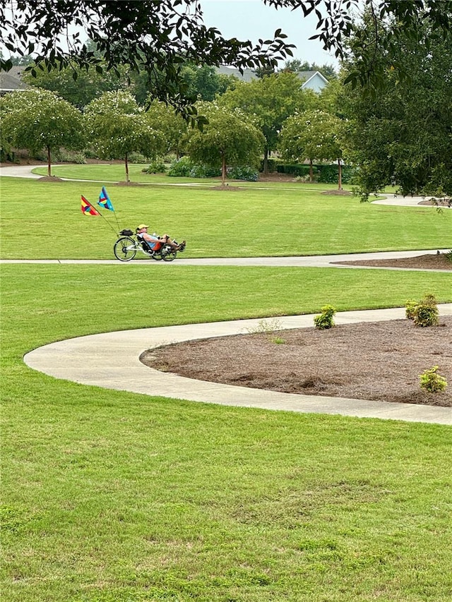 view of home's community with a lawn