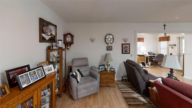 living room with light wood-type flooring