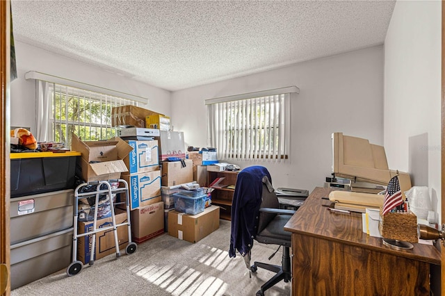 office area with a textured ceiling and light colored carpet