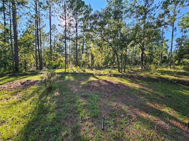 view of yard featuring a wooded view