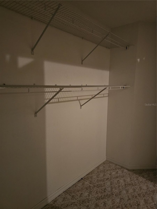 spacious closet featuring carpet floors