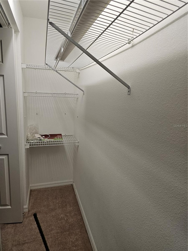 walk in closet with carpet