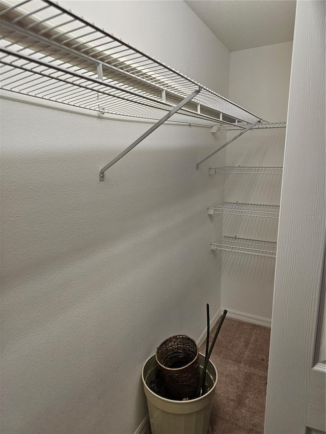 spacious closet with carpet floors