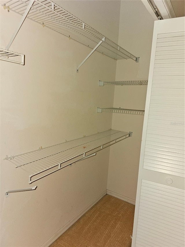 spacious closet with carpet