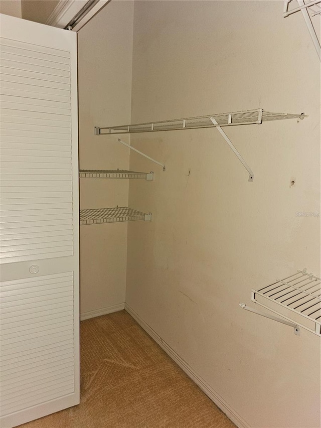 walk in closet with light colored carpet