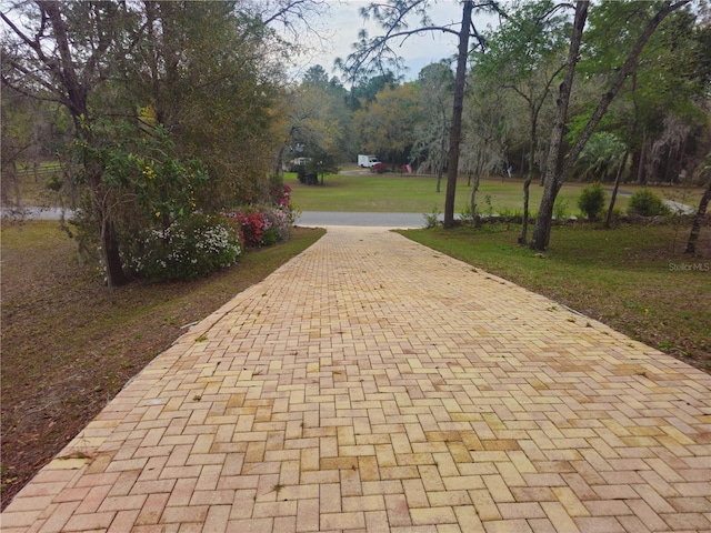 view of property's community featuring a yard