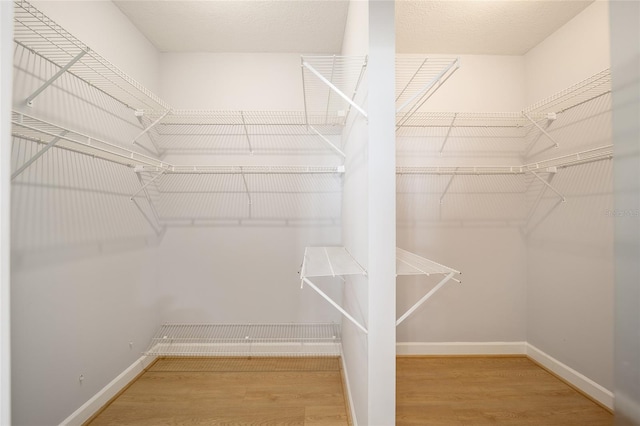 spacious closet with wood-type flooring