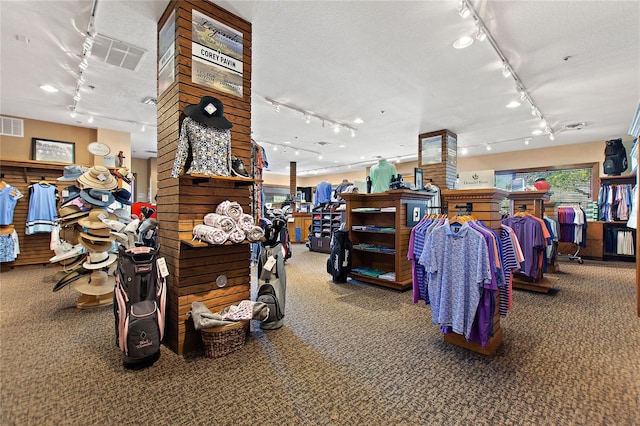 misc room with a textured ceiling, carpet floors, and track lighting