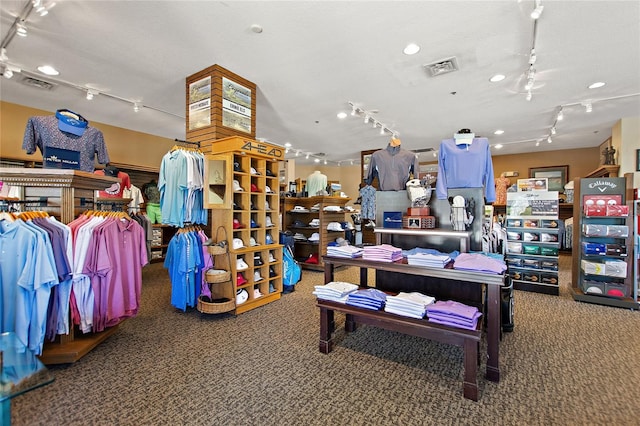 misc room with a textured ceiling, carpet flooring, and track lighting