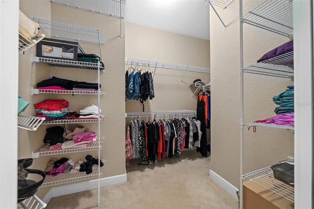 walk in closet featuring carpet