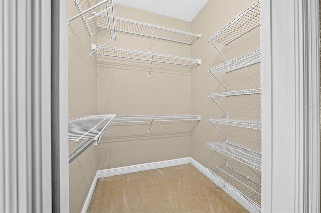 spacious closet featuring carpet flooring