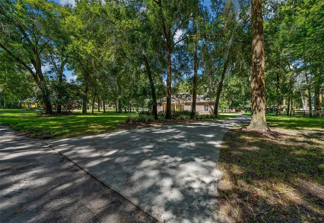 view of community featuring a yard