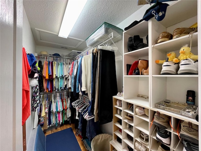 view of walk in closet