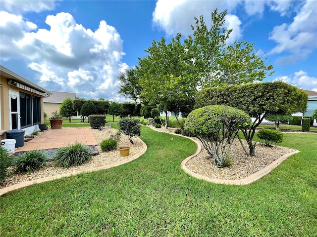 view of yard with a patio