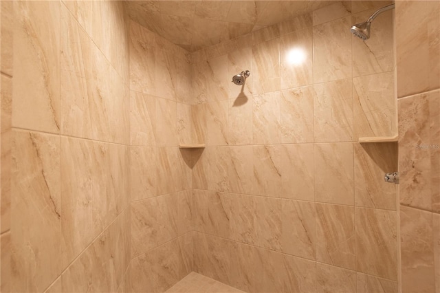 room details with tiled shower