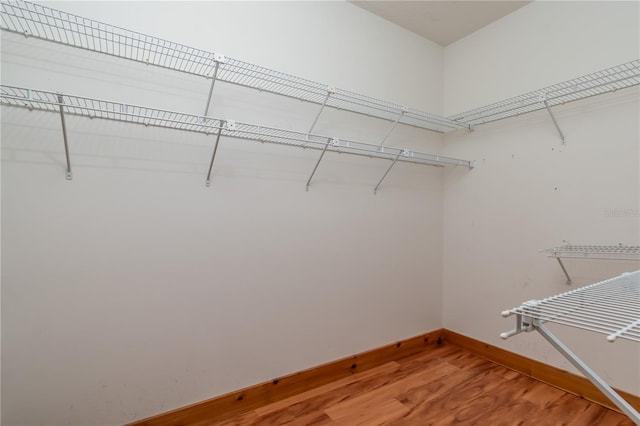 walk in closet featuring wood-type flooring