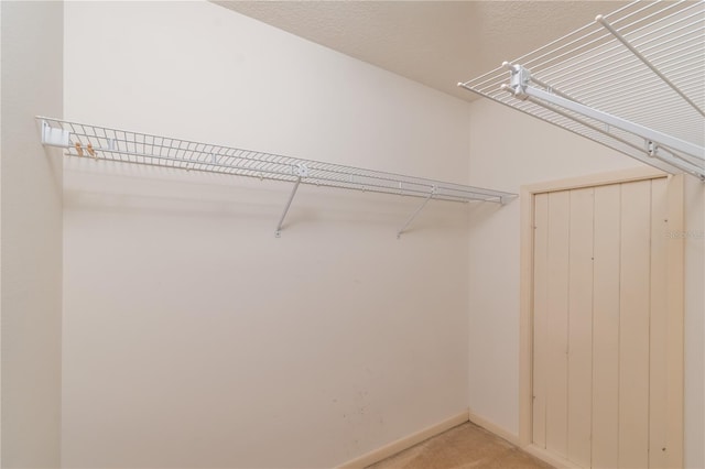 spacious closet featuring carpet flooring