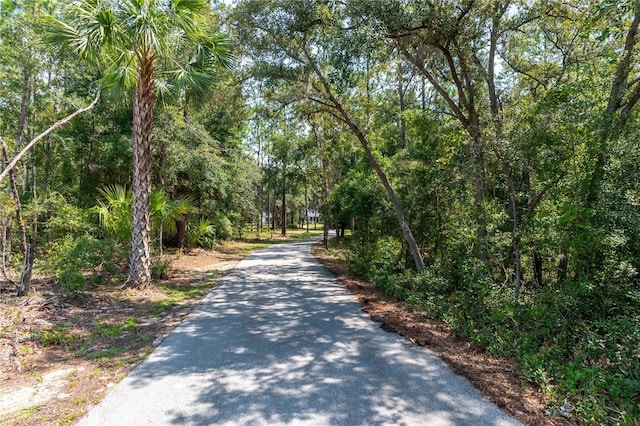 view of road featuring a wooded view