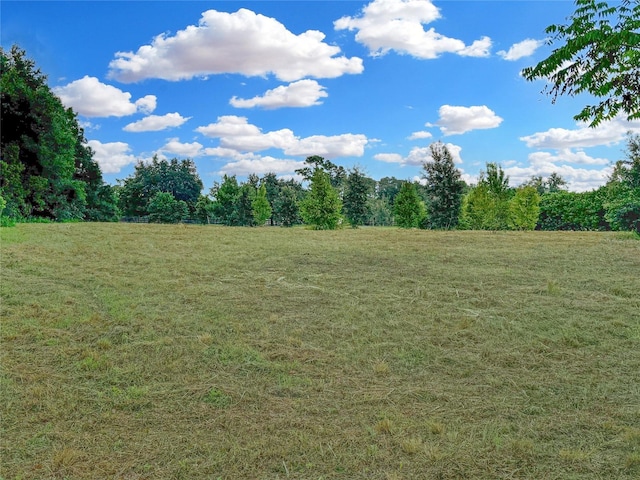 Listing photo 2 for TBD S Magnolia Ave, Ocala FL 34471