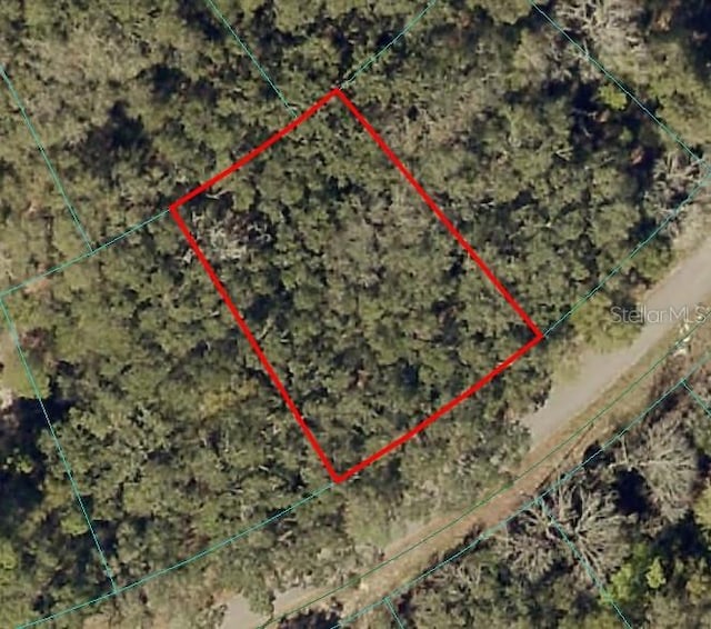 Fisher Lane Ct, Ocklawaha FL, 32179 land for sale