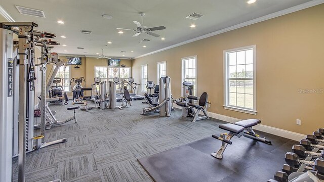 workout area with ceiling fan, crown molding, and carpet