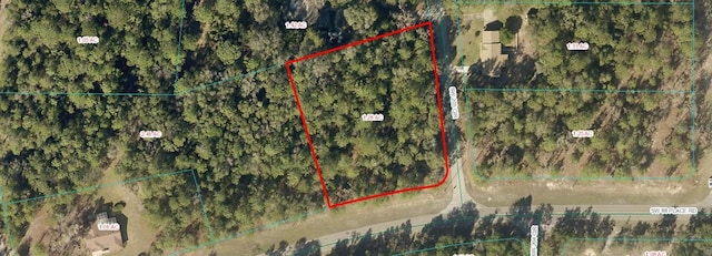 TBD SW 205th Cir, Dunnellon FL, 34431 land for sale