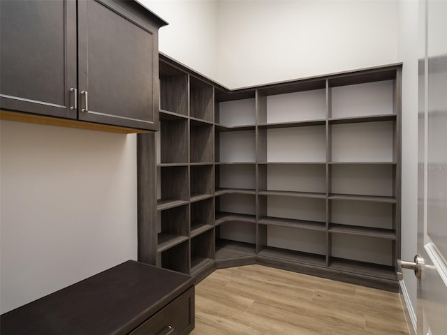 walk in closet featuring light wood-type flooring
