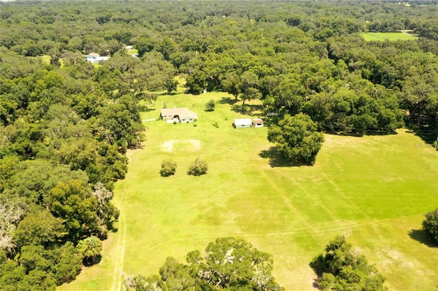 aerial view