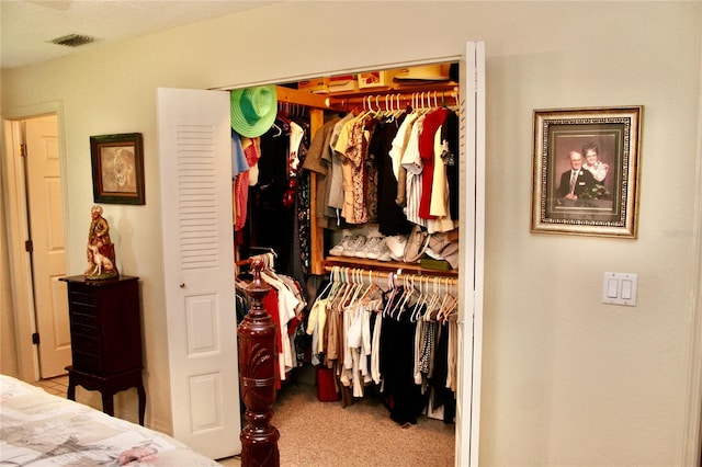 view of closet