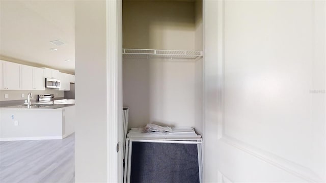 closet with sink