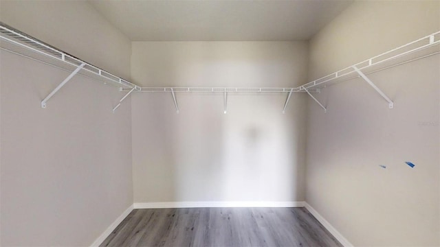 spacious closet featuring hardwood / wood-style flooring