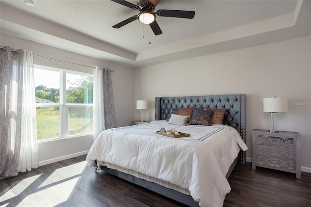 bedroom with dark hardwood / wood-style flooring, a tray ceiling, and ceiling fan