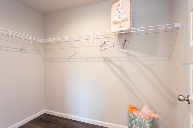 spacious closet featuring wood-type flooring